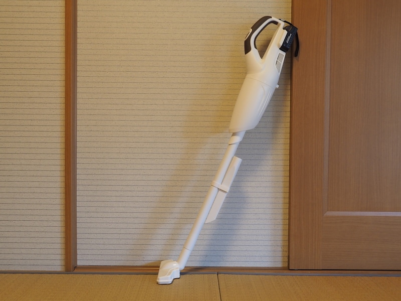 横から見たところ