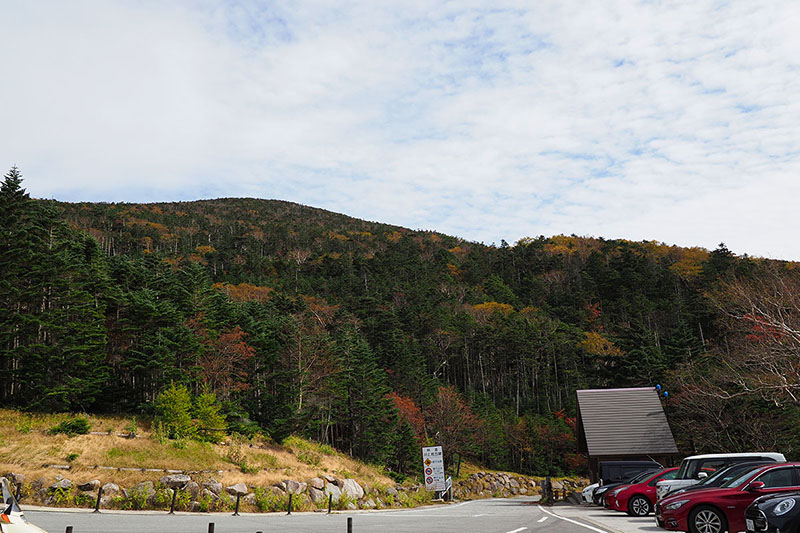 駐車場から見上げると、すぐそこに山の頂上があるという感じ