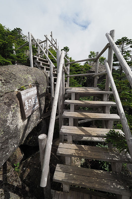 到着しました。だいたい15分ですが、木段を上がり続けますので、運動不足の筆者はハアハアゼエゼエです
