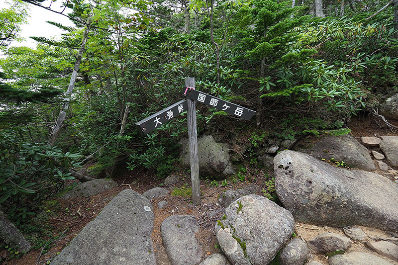 登山道は明瞭なので迷うことはなさそうです