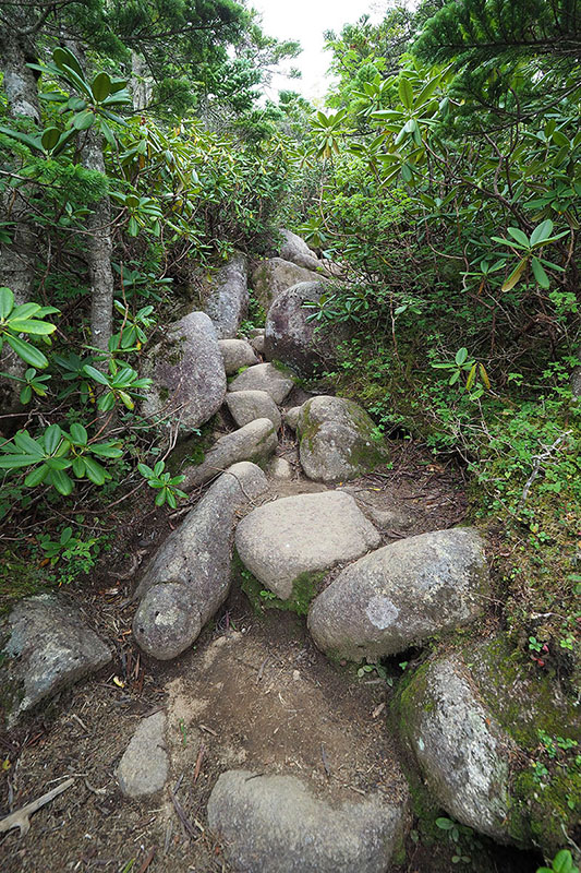 と思ったら、また石の道