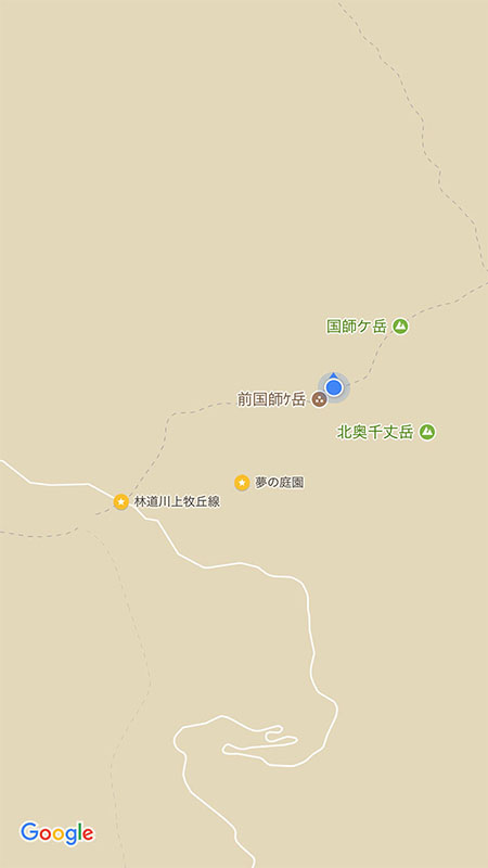 こんな位置関係。「林道川上牧丘線」とあるのが大弛峠です。大弛峠から前国師ヶ岳までは、直線距離で約600mです