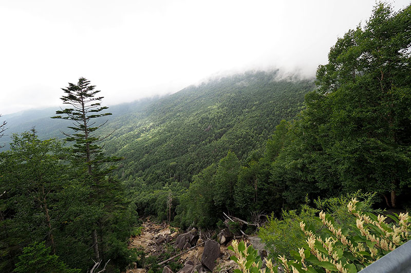 高度が上がると見晴らしも良くなります……が、これ、崖崩れ？