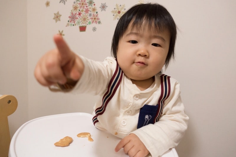 大きさはこのくらい