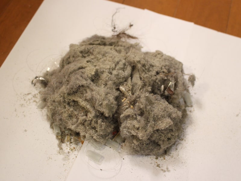 取れたゴミは両手の平で山盛り一杯分! もちろん一度で溜められる量ではなく、計3回捨てることとなった