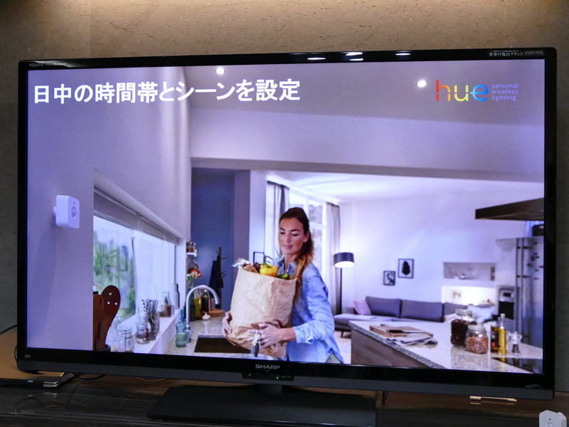 時間帯を夜間と日中の2つから設定可能。昼間は白色系の色に設定