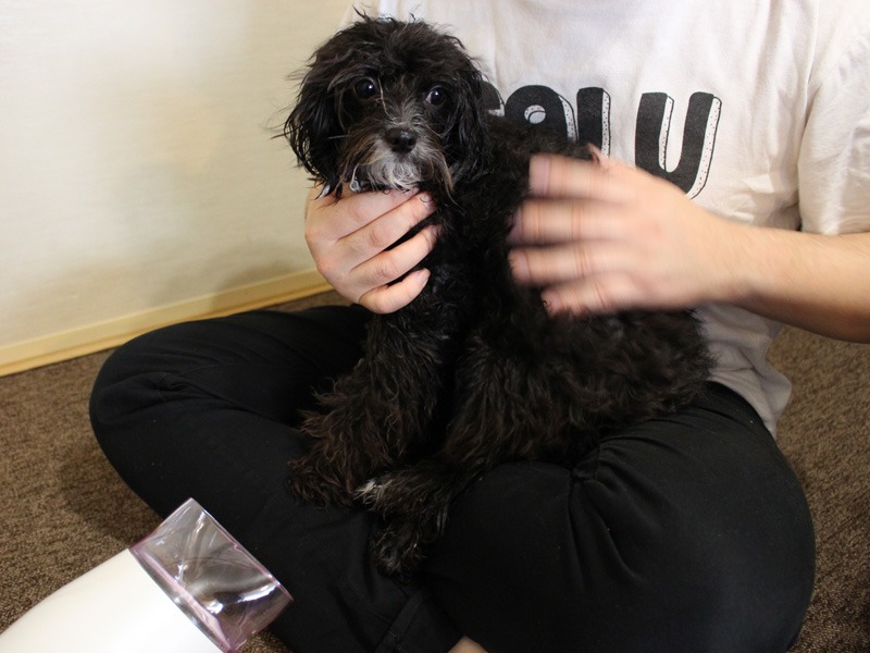 むしろ暖かくて気持ちいいのか? まったく抵抗しない