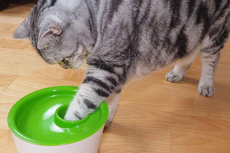 ホジ……あっ手応えが!?