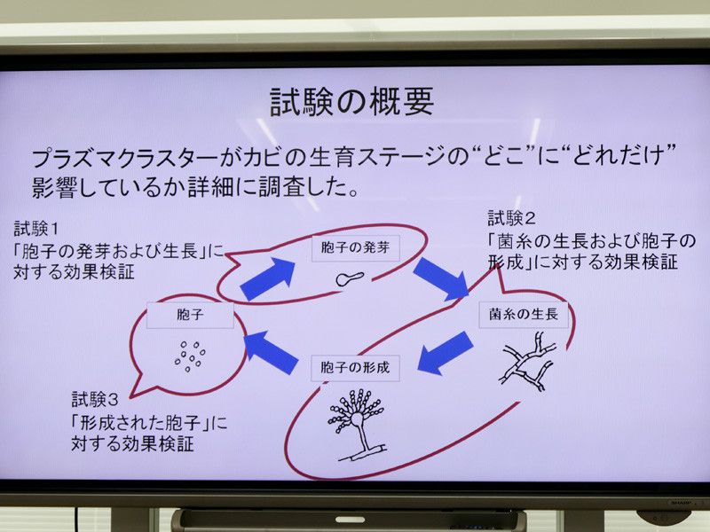 カビの生育ステージ「胞子の発芽・生長」「菌糸の成長・胞子の形成」「胞子」の3段階