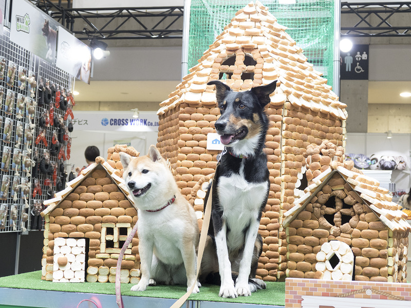 ちょっとだけワンちゃんがパンを食べちゃいました。でも、その後はしっかりポーズ