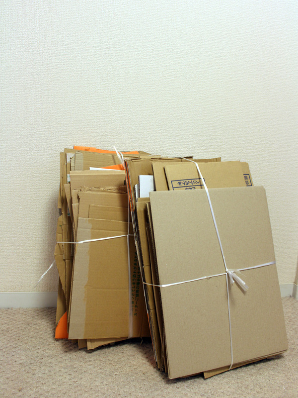 ビニールひもでしっかり縛る。短時間でここまでできて嬉しい