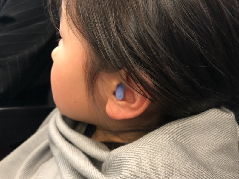 装着してみた図