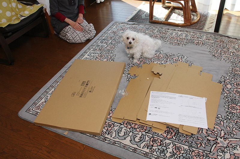 左のダンボールは梱包用なので組み立てには不要。右のセットを組む立てるだけ