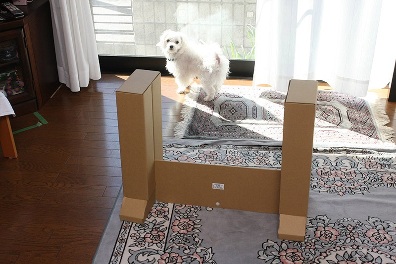 おや？　ご主人できたのかい？