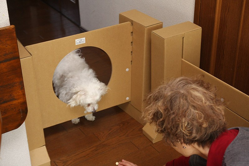 「ご主人！　ちょっと怖い……」とビビり気味の定吉