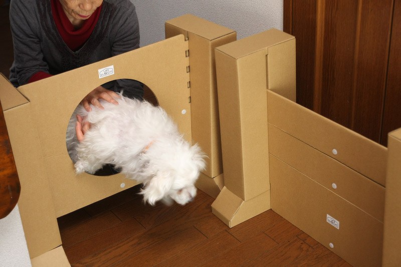 穴にジャンプするのはちょっと怖そうだった