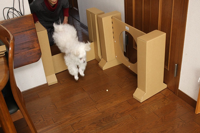 ただの壁は一番低くしたら、それほど怖がらず