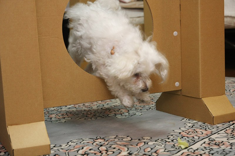 余裕で穴抜けするだけじゃなく、部屋に置いてあっても横をすり抜けてズルしなくなった