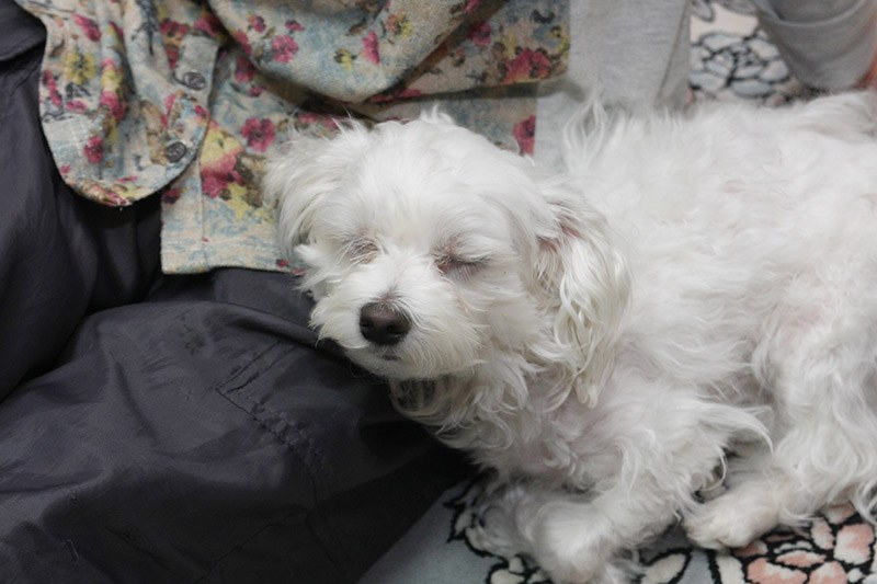 遊んだあとは寝つきもいい（笑）