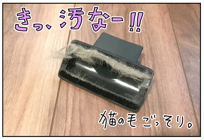 ブラシにもごっそり猫の毛が