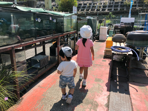 941のイクメン徒然 電車から見えるあの釣り堀へ 市ヶ谷フィッシュセンター で釣り体験 家電 Watch