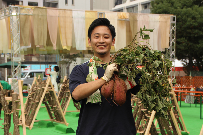 さつまいもの収穫を楽しめる