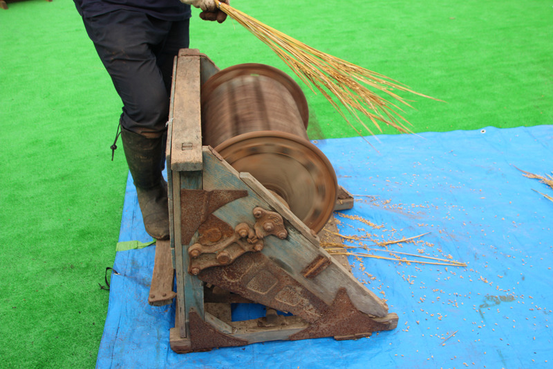 田植え機試乗や脱穀体験も