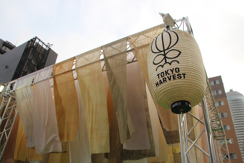 野菜の皮を煮込んで染めた布のインスタレーション