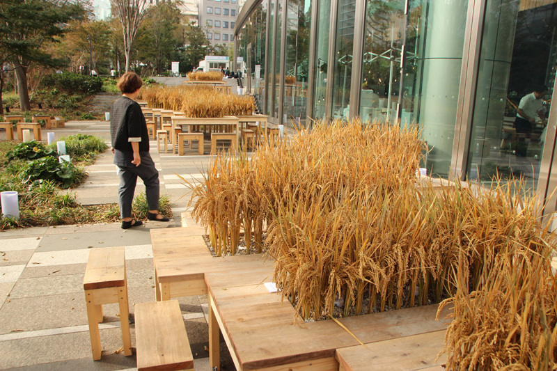 虎ノ門ヒルズ屋外では、日本の原風景「棚田」を感じられるテーブルも