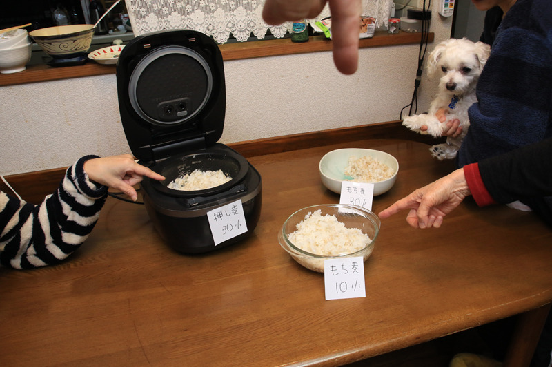 家で集計したところ、押麦3割がいい! という奥さん。もち麦1割がいいという筆者の母。そしてもち麦3割がウマイ! という筆者&女子高生の娘に分かれた