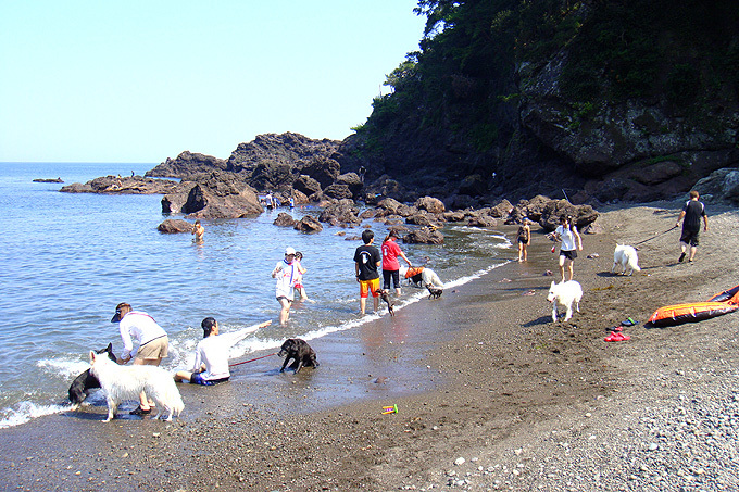 暮らし 子どもが小さくても安心 キッチン付きのお宿ランキング 夏休みにも 家電 Watch