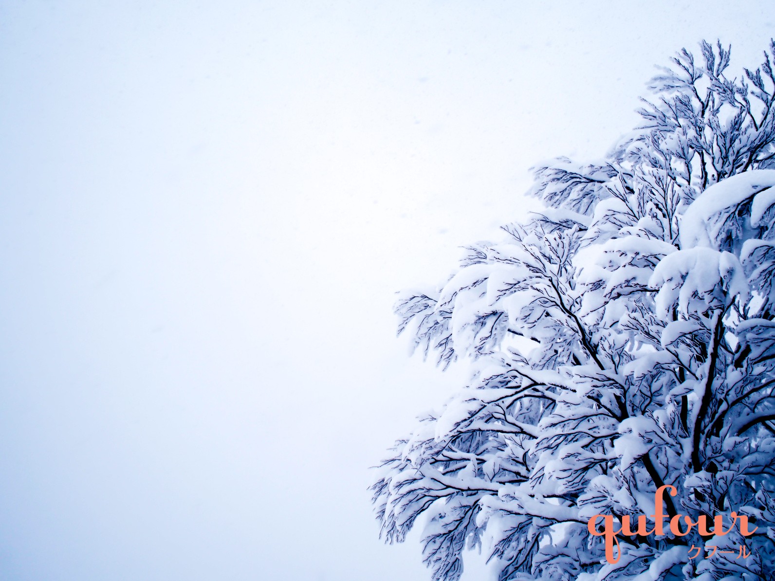 暮らし 聴こうクラシック14 きよしこの夜 と第一次大戦のクリスマス休戦 家電 Watch