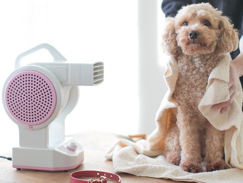 自立型ペット用ドライヤー Petion