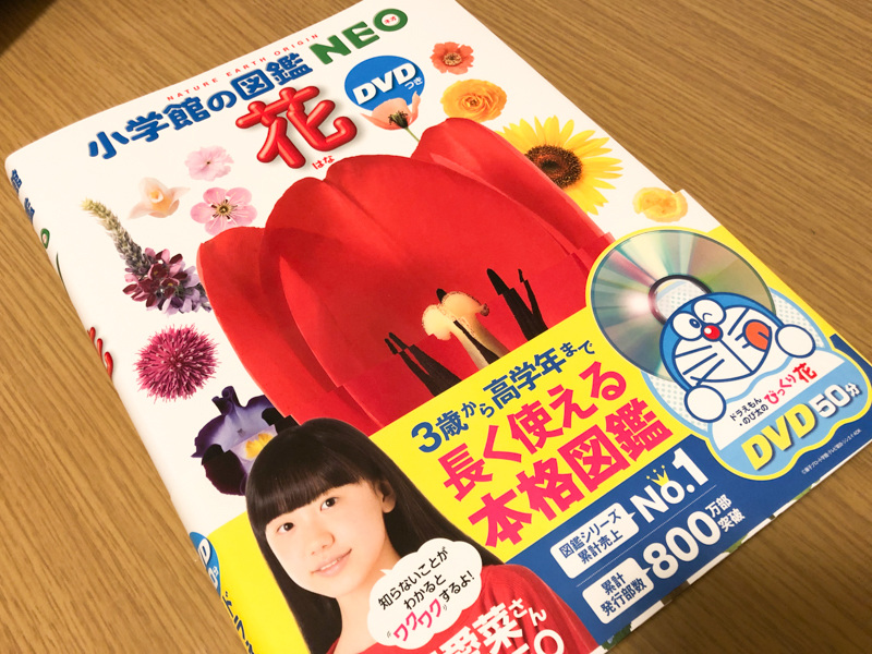 3歳から高学年まで長く使える!