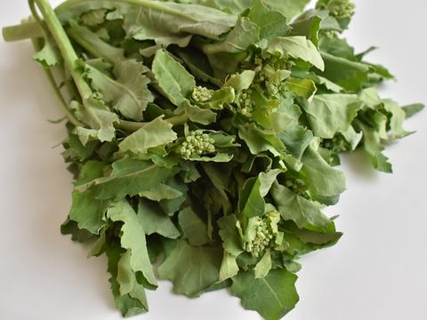 調理の下処理春を感じる野菜 菜の花 選び方と下茹で方法のコツ 家電 Watch