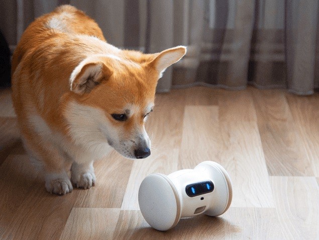ペット用ロボット「バラム ペット フィットネス」