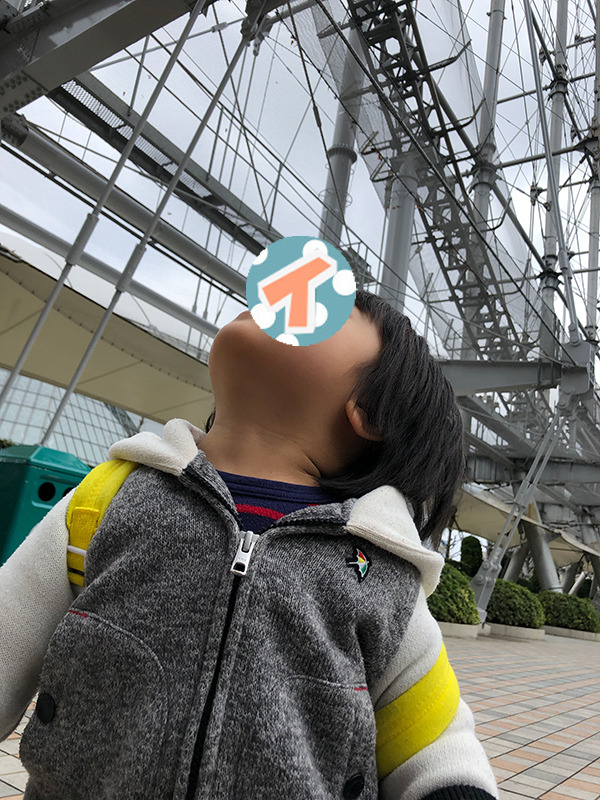 息子は乗り物全般が好きなので、ジェットコースターを見て大興奮!