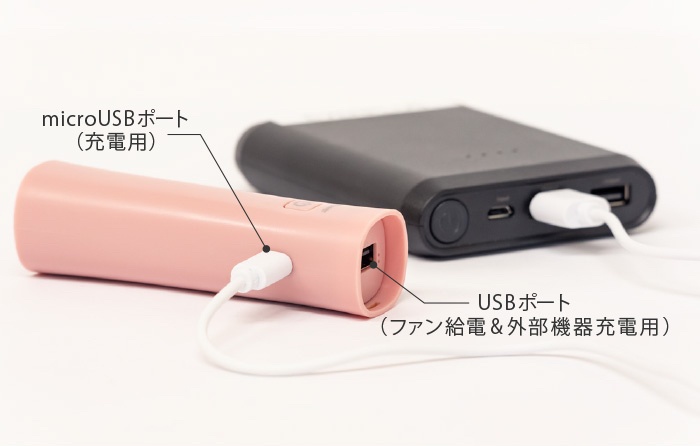 モバイルバッテリーからも充電できる