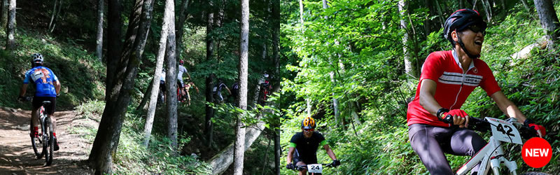 ヒルクライムのイメージ