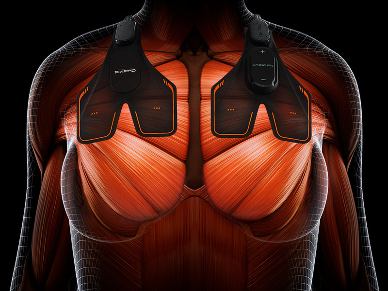 EMSの電気刺激が、大胸筋を刺激するという