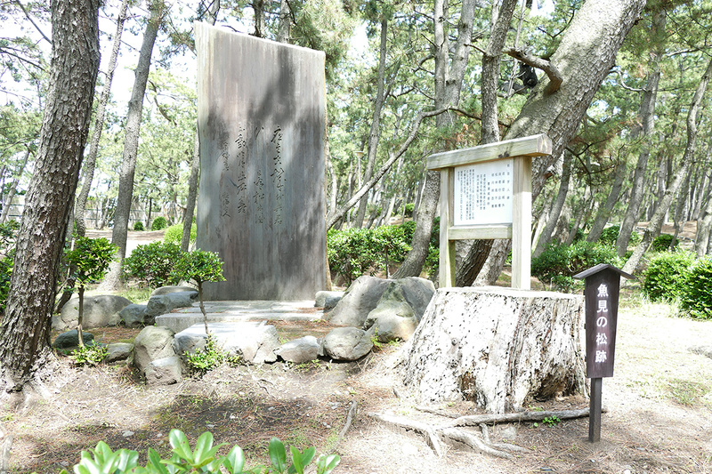 千本浜公園までクルマで送迎してもらう