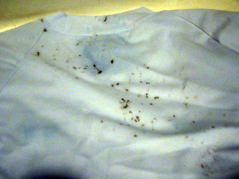 体操着に付着した泥跳ね汚れ。この手の汚れは時間が経つと意外に落ちにくいものだが、とりあえず何もせずにそのまま洗濯してみた