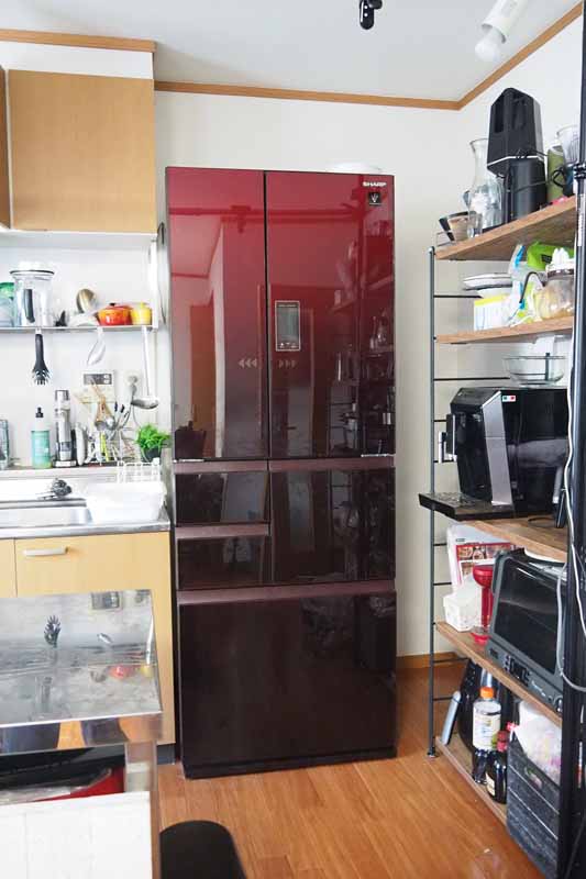 プラズマクラスター冷蔵庫 SJ-GA50E-R