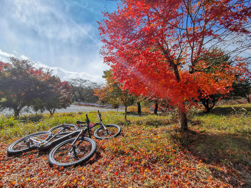 そして妄想が現実に。記念撮影! 逆光のe-bike＆紅葉がエモい!