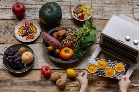 レコルト、コンパクトに設置できる「フードドライヤー」 - 家電