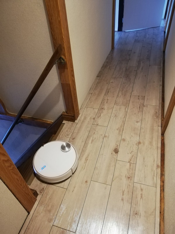 見てるとヒヤヒヤしますが、階段は絶対に落ちない。けど段差はだめなんだなあ……