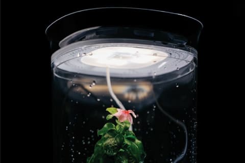 LED照明や自動給水システムで植物を自動で育ててくれる、卓上スマート