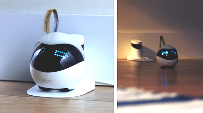 猫用スマートロボ「Ebo(イーボ)」