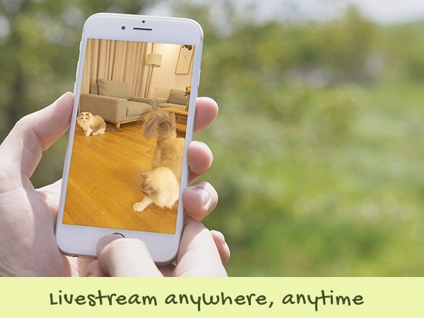 スマートフォンアプリから猫の様子を確認できる