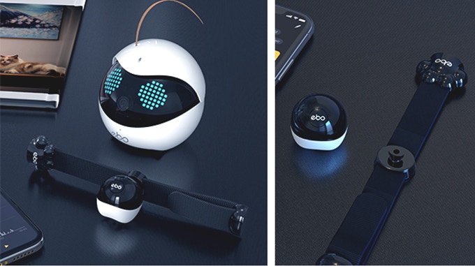 上位モデル「Ebo Pro」は、猫の歩数などを確認できるスマート首輪が付属